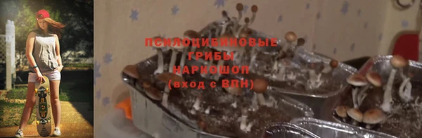 mix Верея