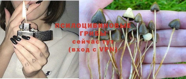 MDMA Premium VHQ Верхний Тагил